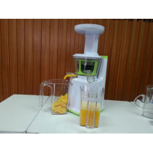 what is the champion juicer in 2013?Slow juicer AJE318